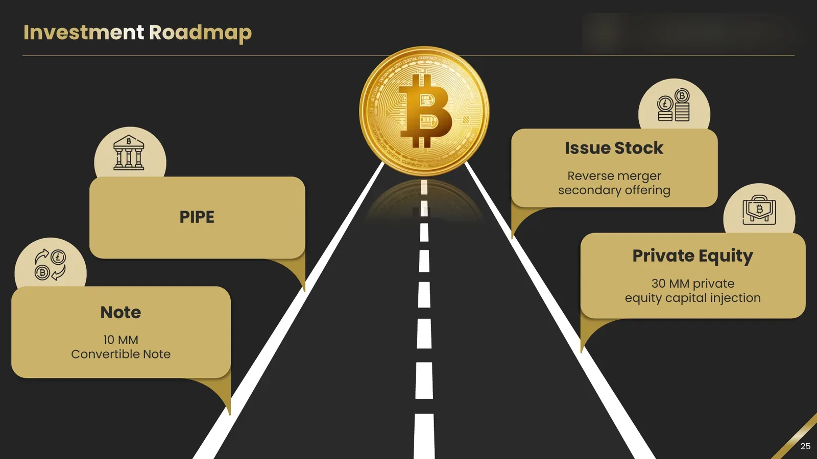 Pitch deck investment roadmap slide